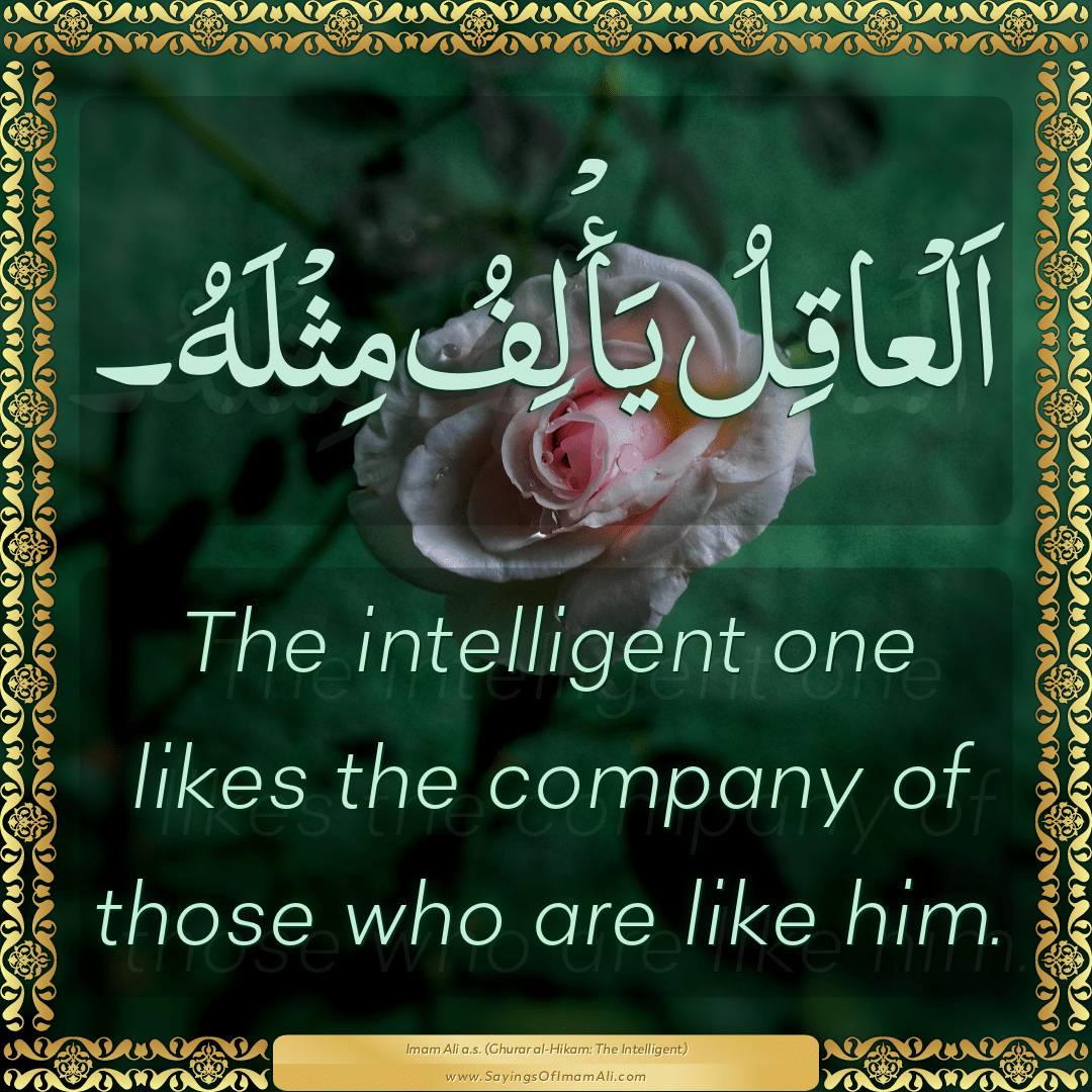 The intelligent one likes the company of those who are like him.